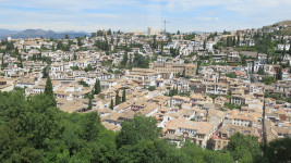 IMG_7835.JPG